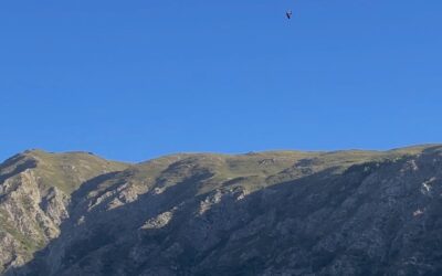 ¿Sabías que en Las Trancas puedes volar en parapente?